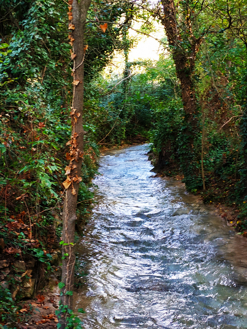 Balade en Novembre (2)