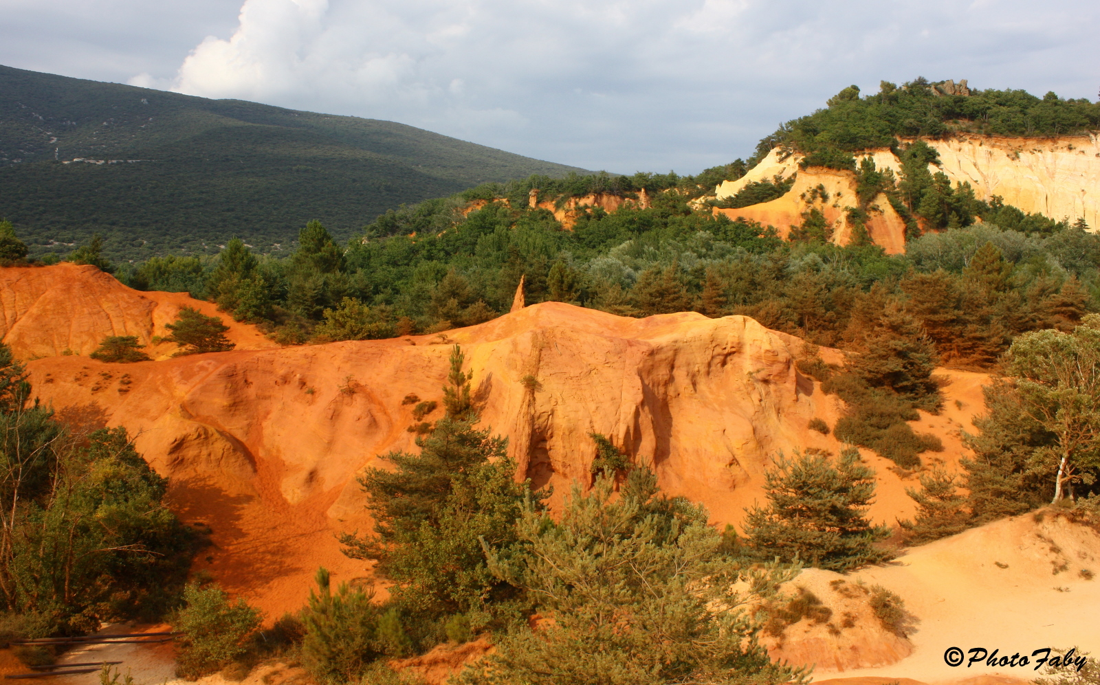 Balade en Provence