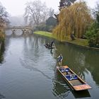  Balade en „punt“ sur la Cam  --  Cambridge  --  Spazierfahrt mit einem „Punt“ auf der Cam