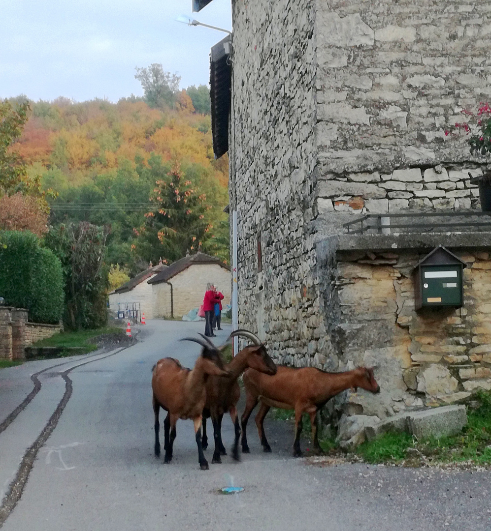 Balade en Rhône-Alpes .....