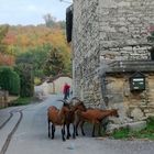 Balade en Rhône-Alpes .....