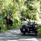 Balade en side car .........