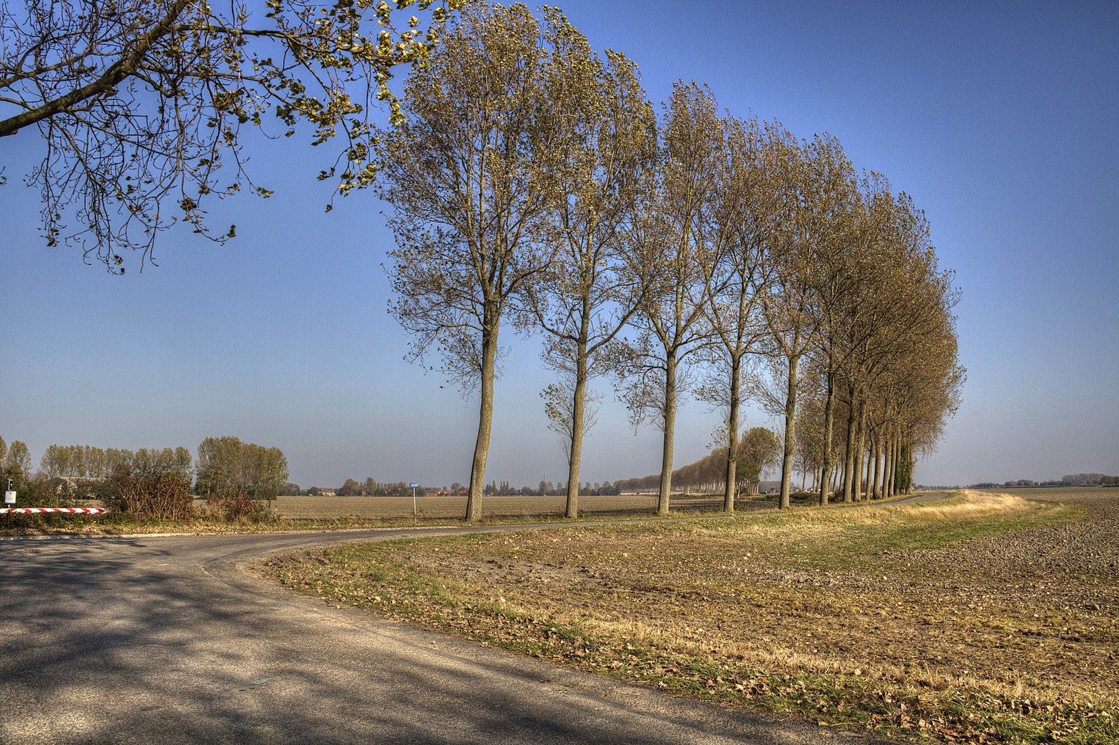 Balade en vélo