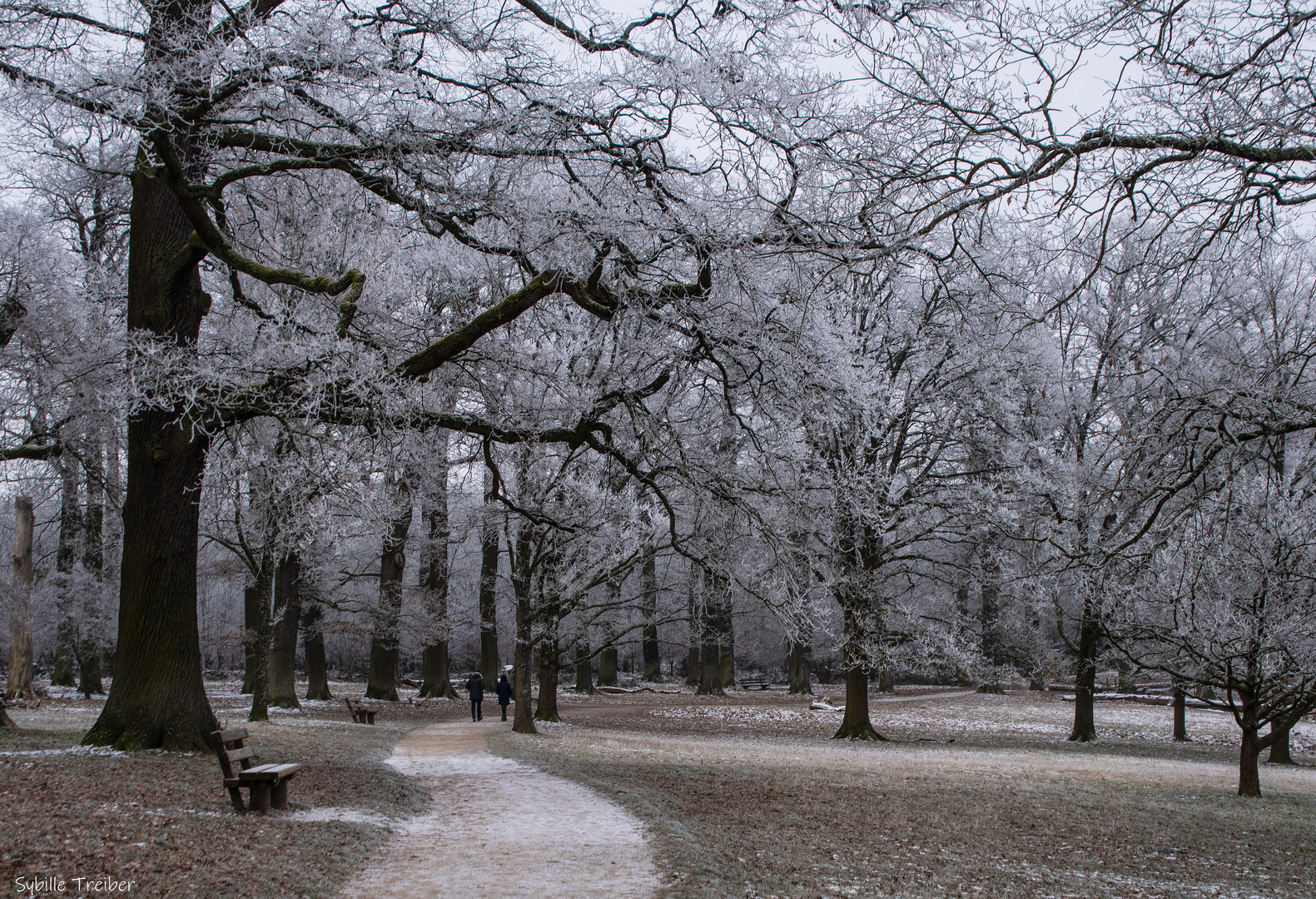 Balade hivernale