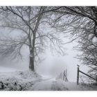 balade hivernale sur le chemin des crêtes