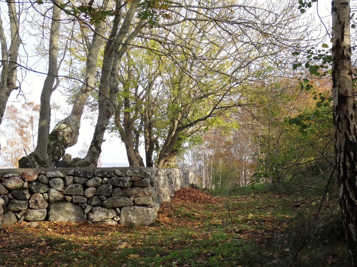 Balade insulaire en Suède