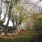 Balade insulaire en Suède