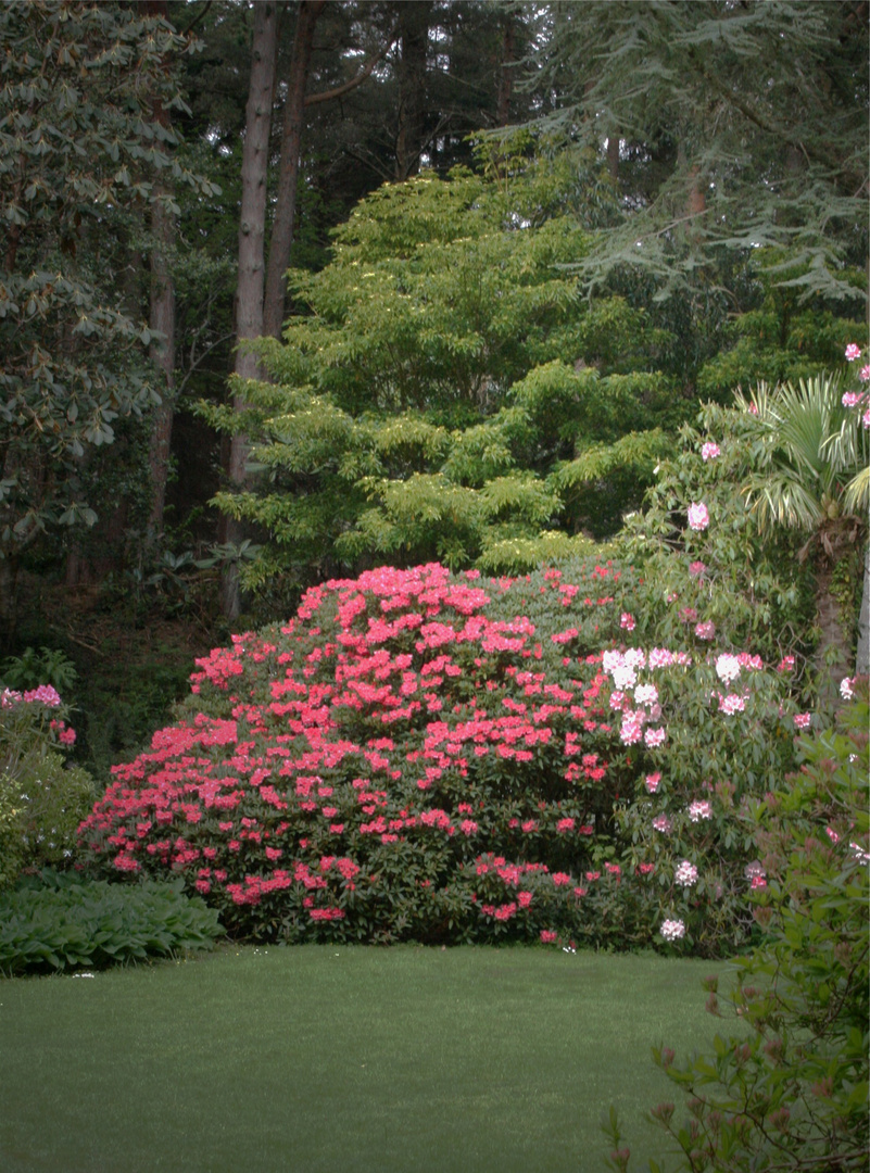 BALADE IRLANDAISE Glenveagh Castle le jardin