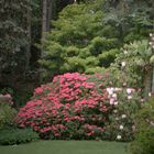 BALADE IRLANDAISE Glenveagh Castle le jardin