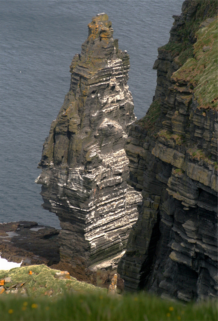 BALADE IRLANDAISE Les Falaises de Moher le Rocher aux Oiseaux