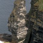 BALADE IRLANDAISE Les Falaises de Moher le Rocher aux Oiseaux