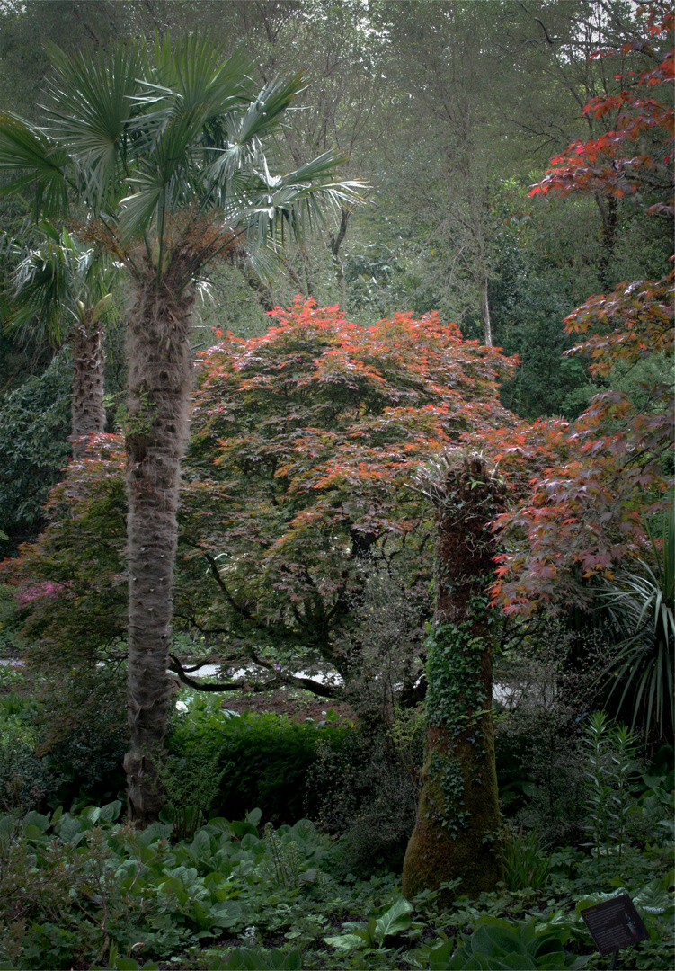 BALADE IRLANDAISE Les Jardins de Glenveagh Castle