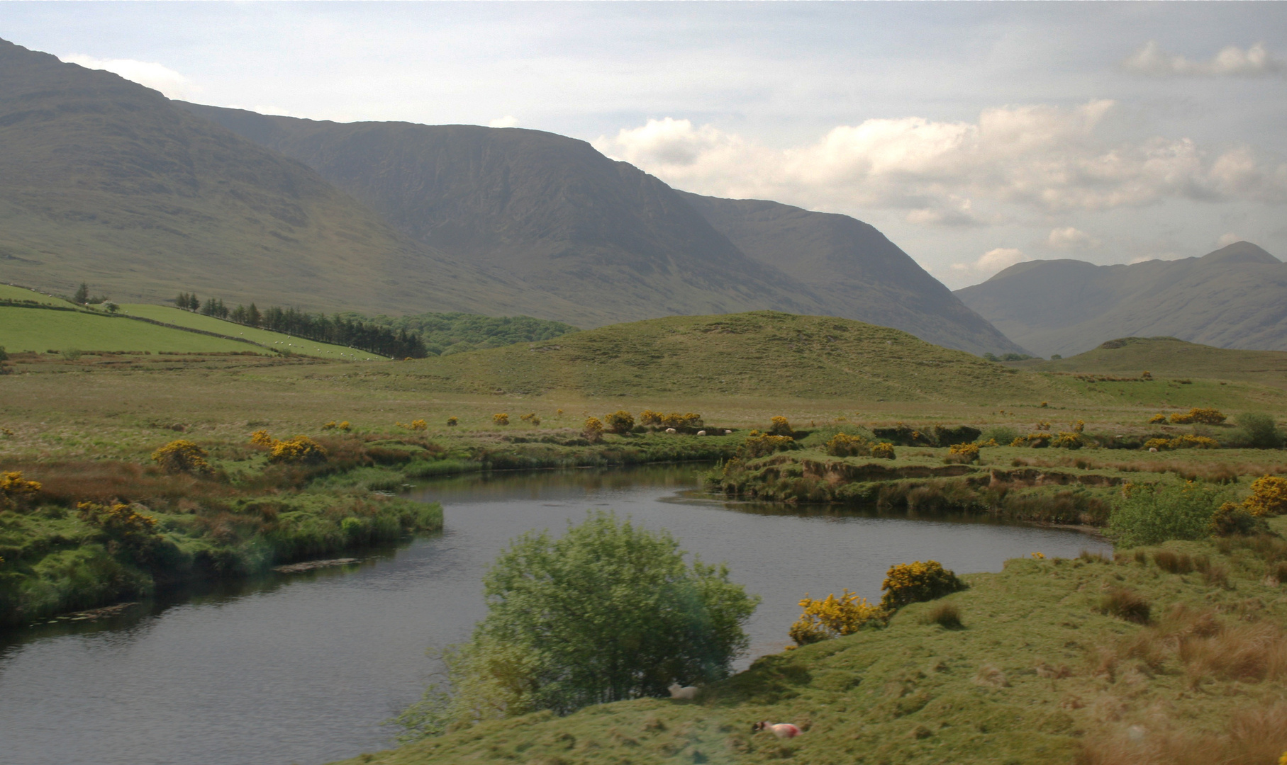 BALADE IRLANDAISE Vision du Donegal