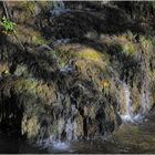 Balade ... Les Jardins d'Annevoie..