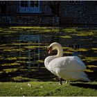 Balade ... Les Jardins d'Annevoie