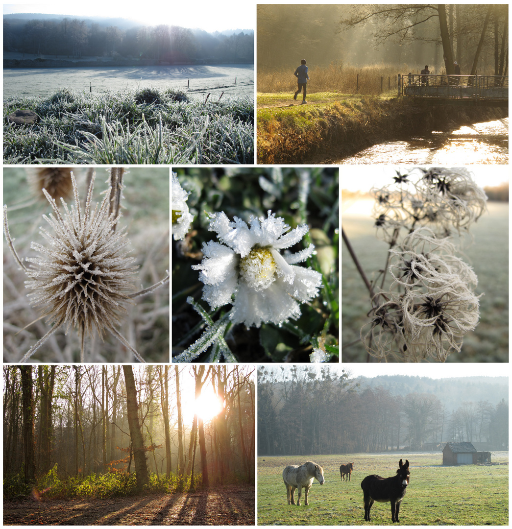 Balade matinale à Aiseau (Belgique)