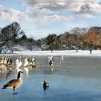 Balade sur la glace.