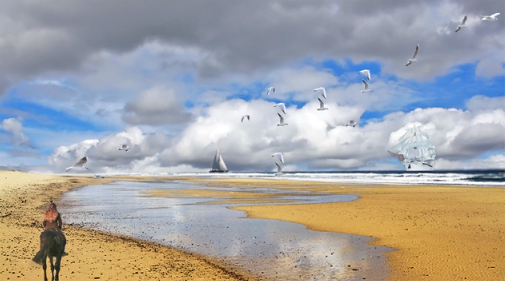 Balade sur la plage (d'après une photo de mikey 40)