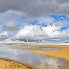 Balade sur la plage (d'après une photo de mikey 40)