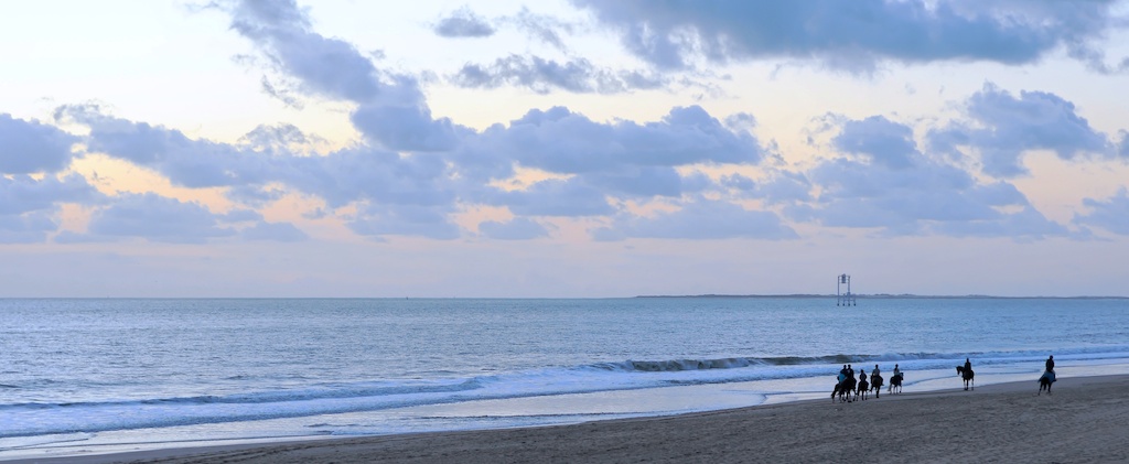 Balade sur la plage