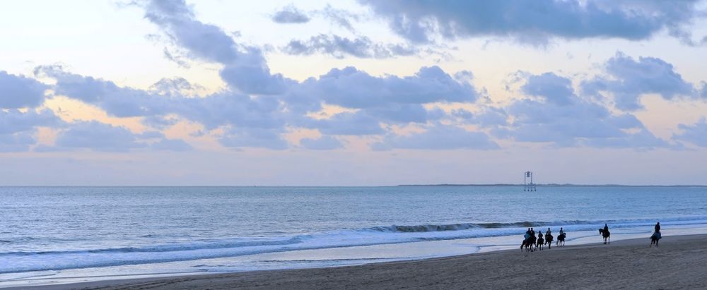 Balade sur la plage