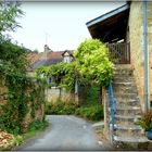 BALADES - AUTOUR - DE - SARLAT - 25- -