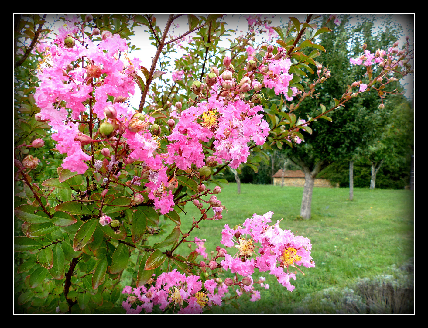 BALADES - AUTOUR - DE - SARLAT - 36 -