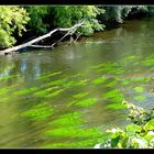 BALADES - AUTOUR - DE - SARLAT - 46 -