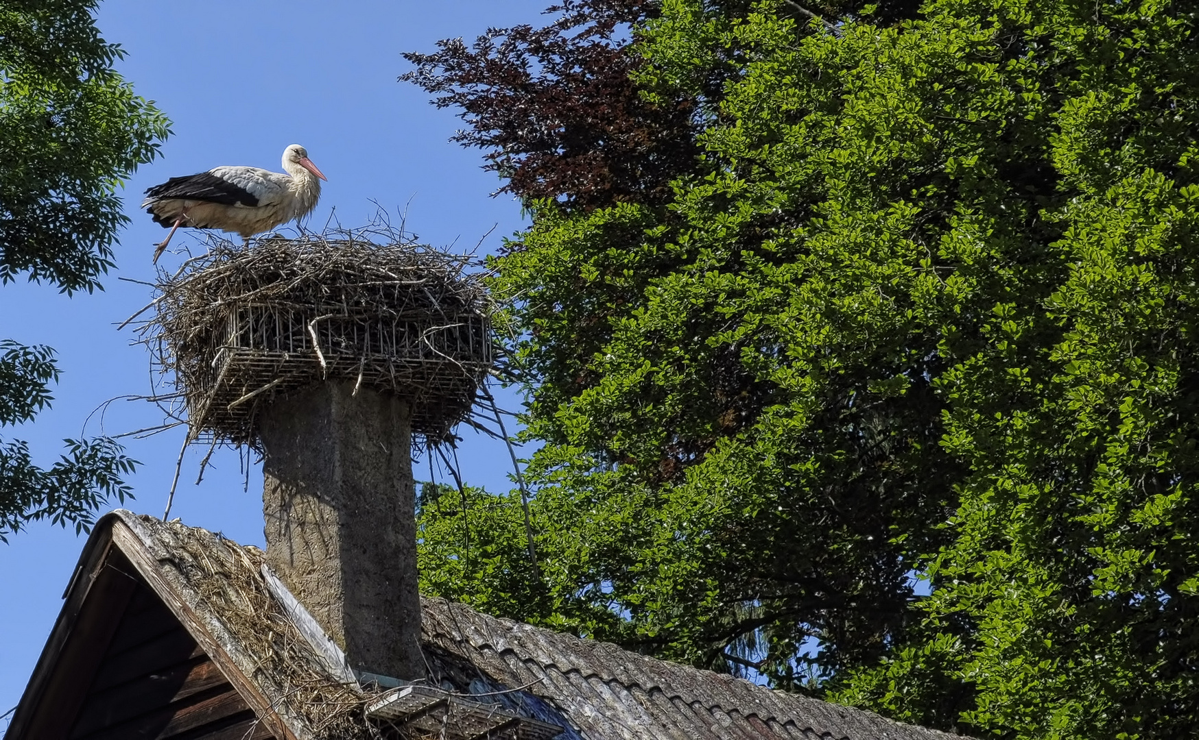 Balance auf dem Kamin