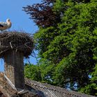 Balance auf dem Kamin