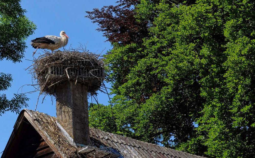 Balance auf dem Kamin