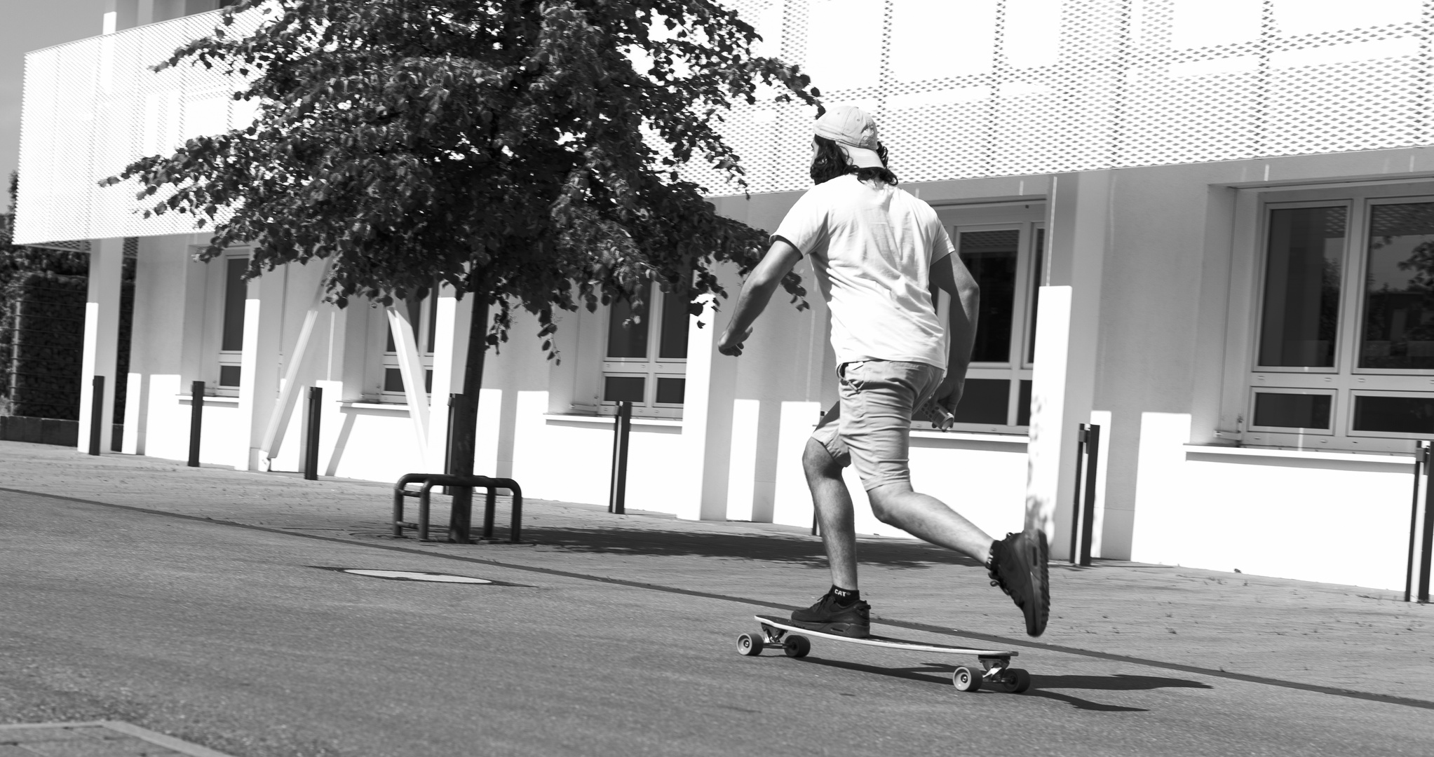 Balance: Ein persischer Pathologe zwischen Krieg und Frieden Foto ...
