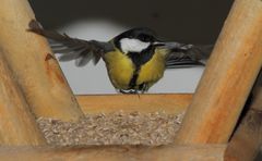 Balance oder der gekonnte Abflug.