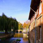 Balance zwischen Architektur und Natur