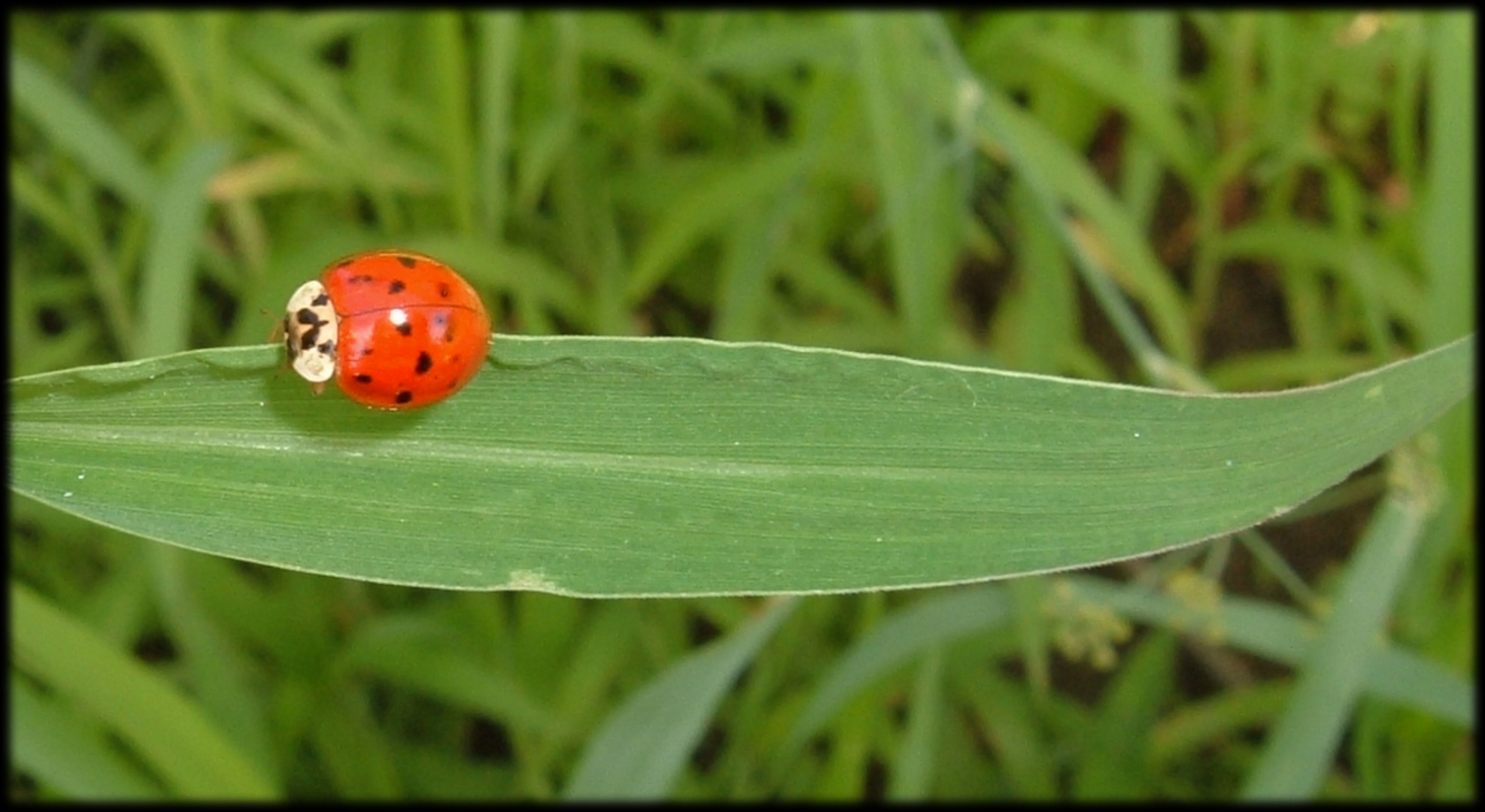 Balanceakt die Zweite......und Action....