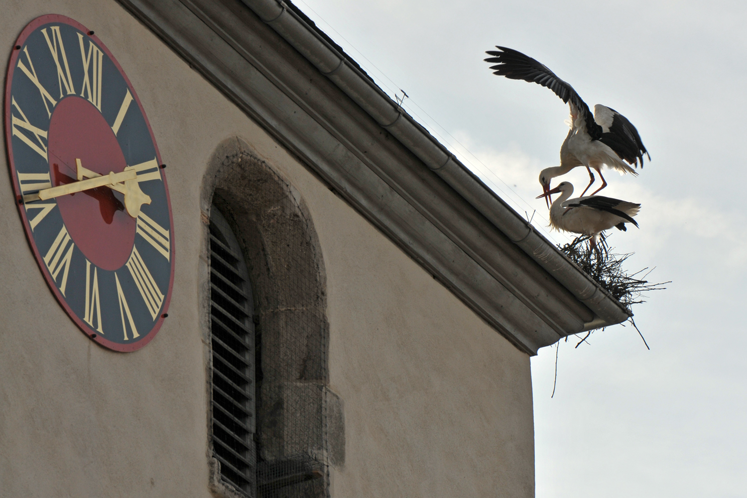 Balanceakt um zwanzig vor drei