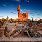 Balanced Rock - Arches National Park