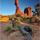 BALANCED ROCK