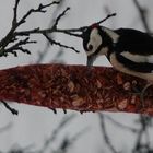 Balançoire spéciale pour pic