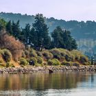 Balaruc - Sete - Etang de Thau