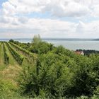 Balaton #019