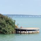 Balaton