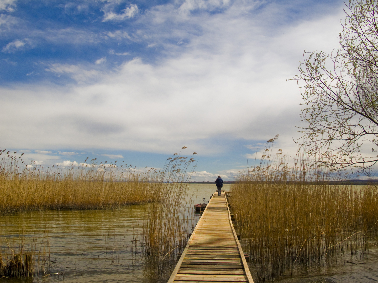 Balaton