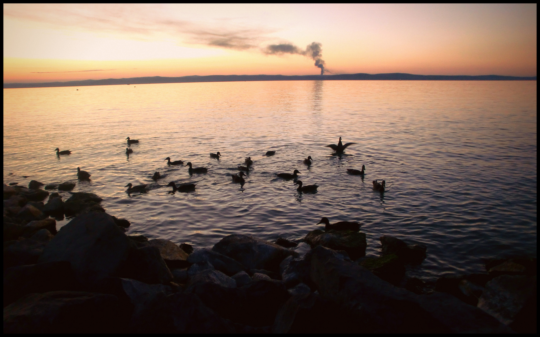 Balaton &#9829;