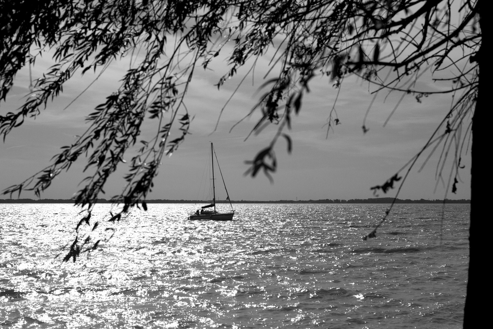 balaton ...