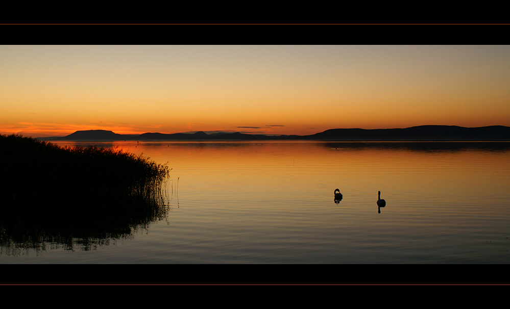 Balaton