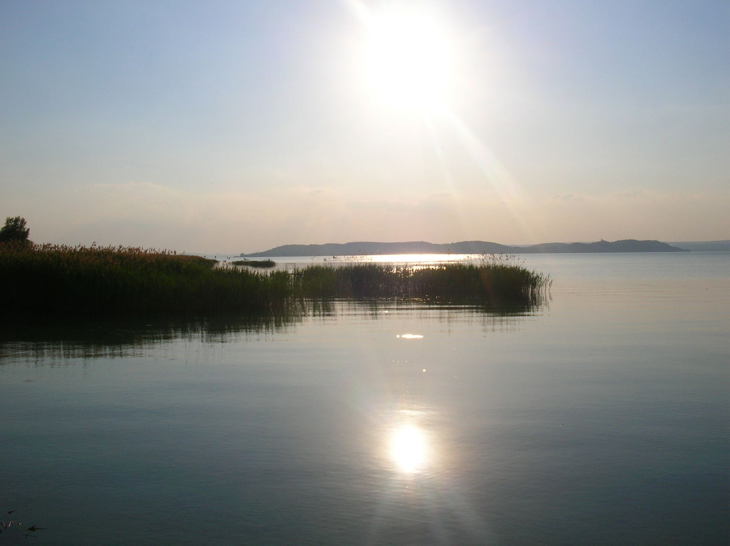 Balaton