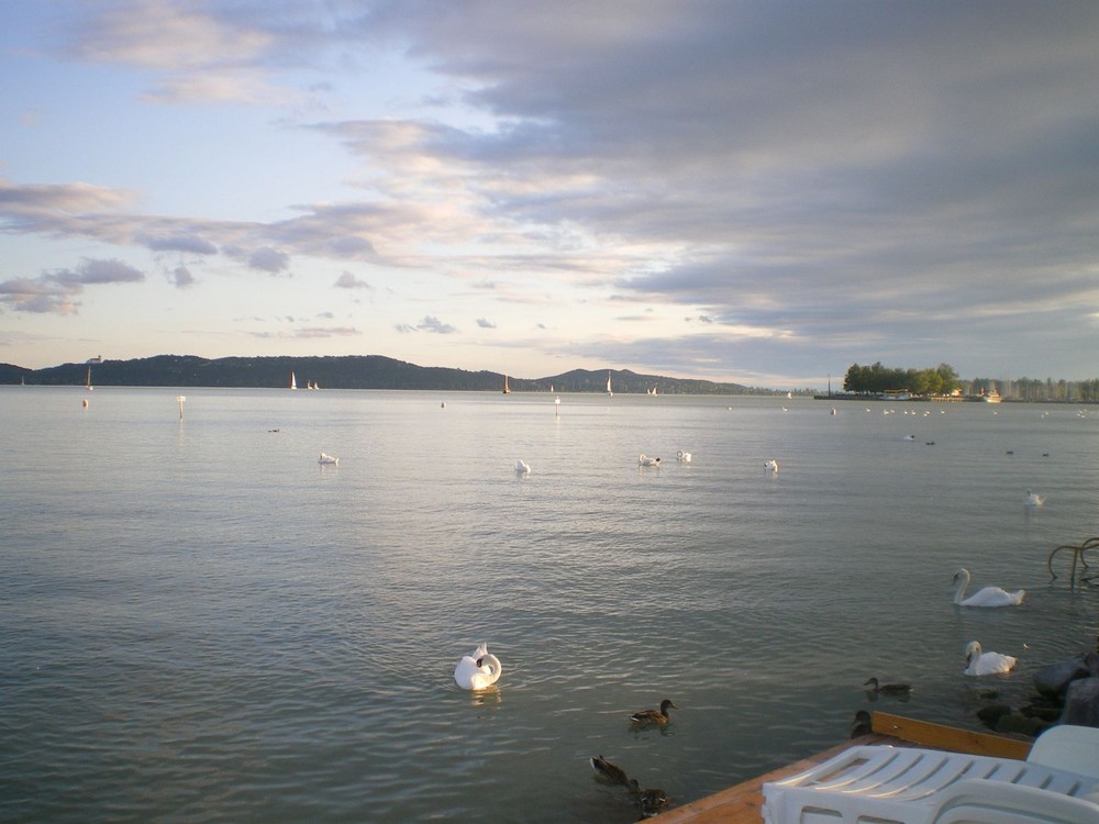 Balaton, summer 008