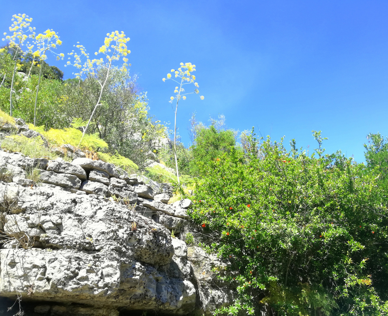 Balazuc, Ardèche