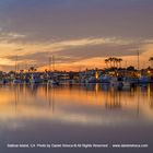 Balboa Island